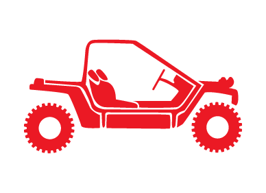 buggy insurance